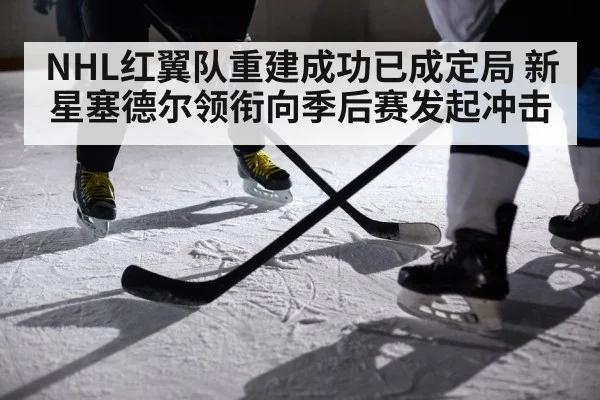 NHL红翼队重建成功已成定局 新星塞德尔领衔向季后赛发起冲击