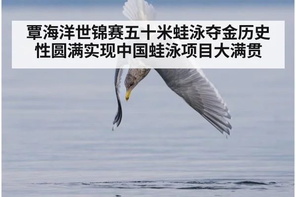 覃海洋世锦赛五十米蛙泳夺金历史性圆满实现中国蛙泳项目大满贯